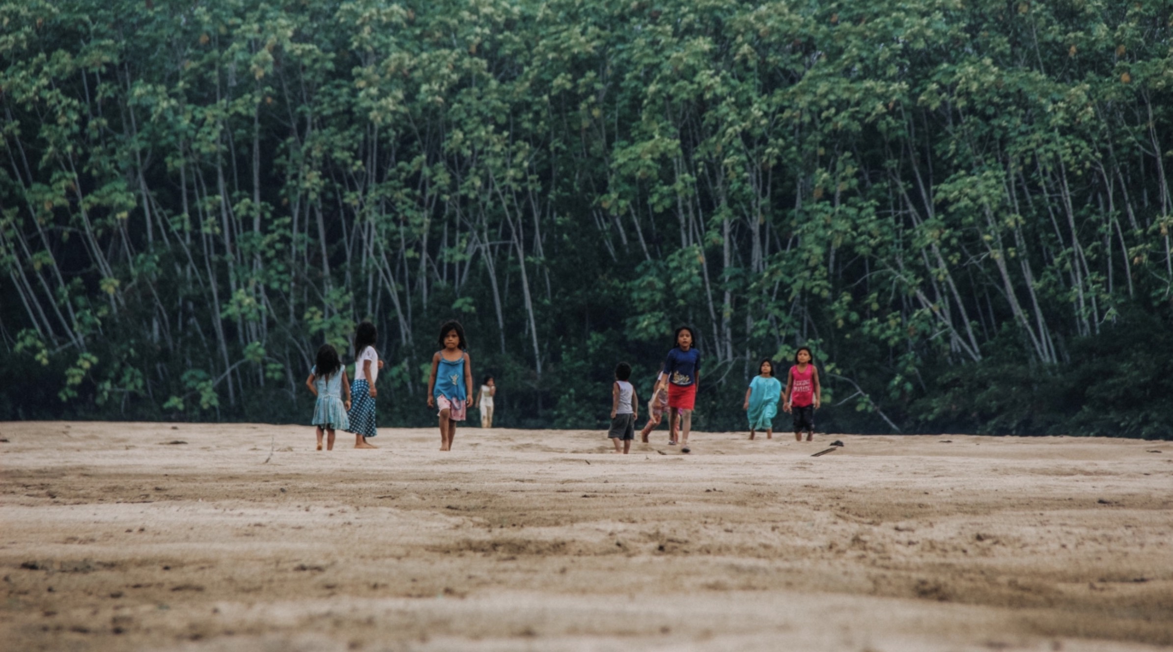 Amazon Burning – How can we legally protect the lungs of our planet